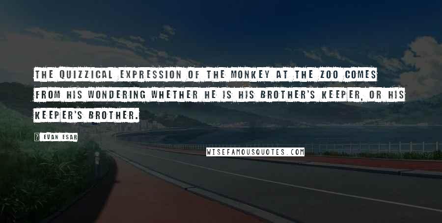 Evan Esar Quotes: The quizzical expression of the monkey at the zoo comes from his wondering whether he is his brother's keeper, or his keeper's brother.