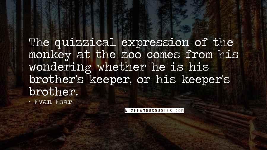 Evan Esar Quotes: The quizzical expression of the monkey at the zoo comes from his wondering whether he is his brother's keeper, or his keeper's brother.