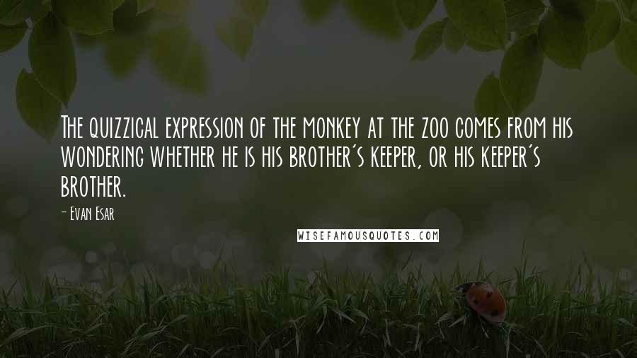 Evan Esar Quotes: The quizzical expression of the monkey at the zoo comes from his wondering whether he is his brother's keeper, or his keeper's brother.