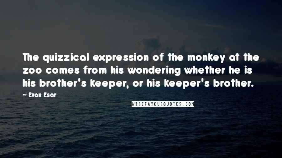 Evan Esar Quotes: The quizzical expression of the monkey at the zoo comes from his wondering whether he is his brother's keeper, or his keeper's brother.