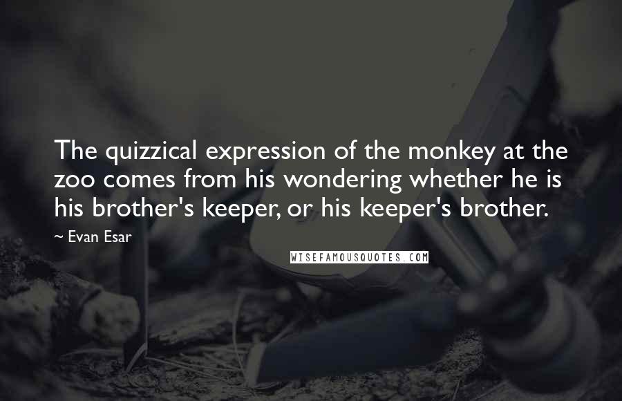 Evan Esar Quotes: The quizzical expression of the monkey at the zoo comes from his wondering whether he is his brother's keeper, or his keeper's brother.