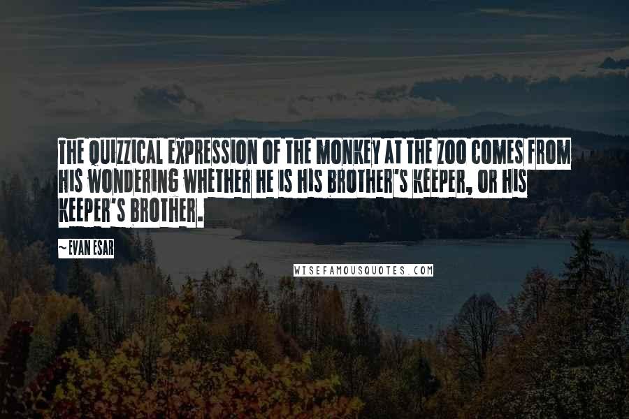 Evan Esar Quotes: The quizzical expression of the monkey at the zoo comes from his wondering whether he is his brother's keeper, or his keeper's brother.
