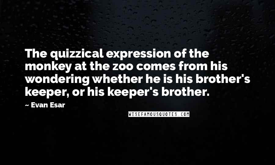 Evan Esar Quotes: The quizzical expression of the monkey at the zoo comes from his wondering whether he is his brother's keeper, or his keeper's brother.