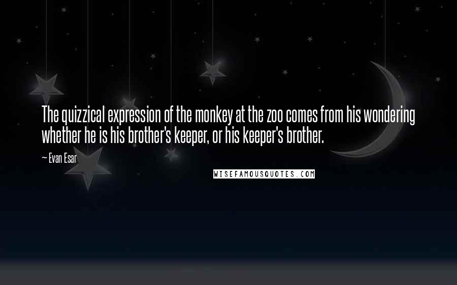 Evan Esar Quotes: The quizzical expression of the monkey at the zoo comes from his wondering whether he is his brother's keeper, or his keeper's brother.