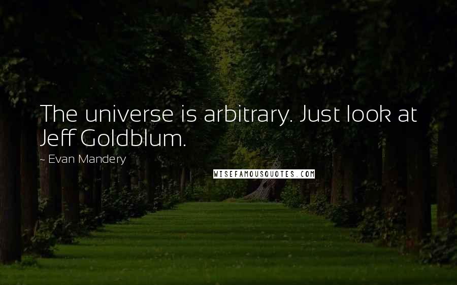 Evan Mandery Quotes: The universe is arbitrary. Just look at Jeff Goldblum.