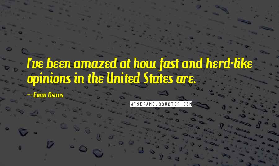 Evan Osnos Quotes: I've been amazed at how fast and herd-like opinions in the United States are.