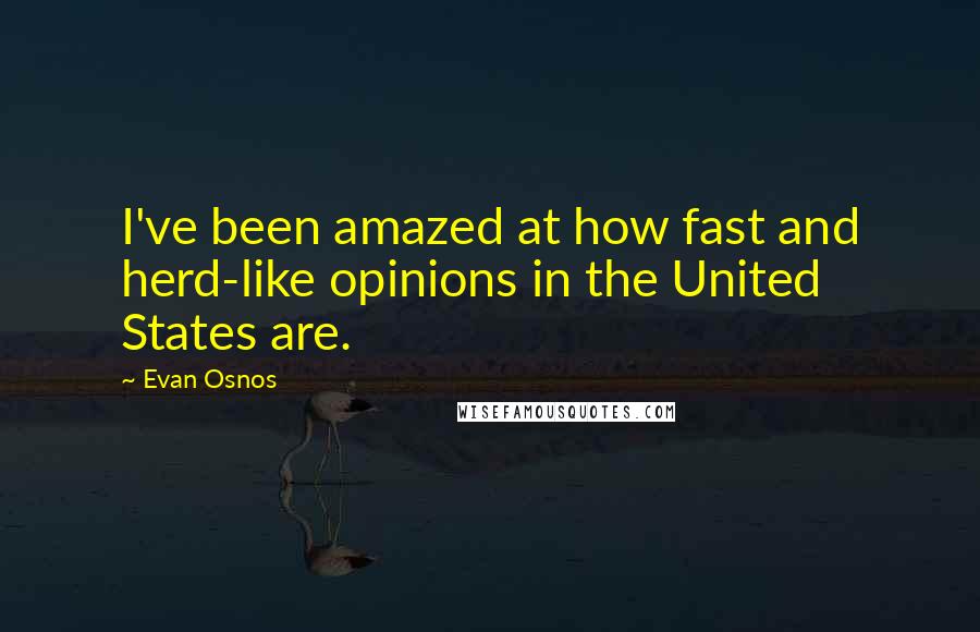 Evan Osnos Quotes: I've been amazed at how fast and herd-like opinions in the United States are.