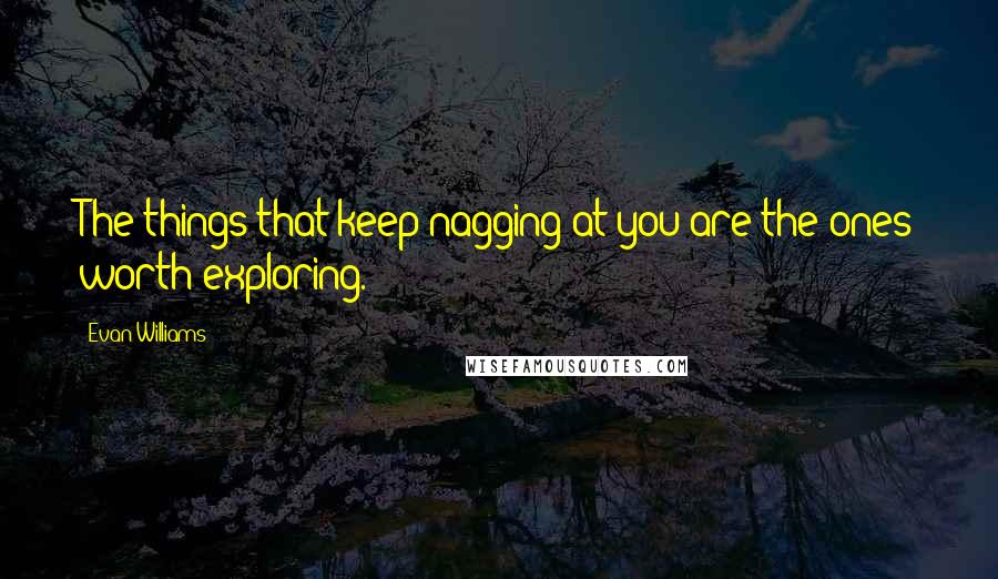 Evan Williams Quotes: The things that keep nagging at you are the ones worth exploring.