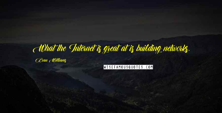 Evan Williams Quotes: What the Internet is great at is building networks.