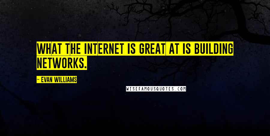 Evan Williams Quotes: What the Internet is great at is building networks.