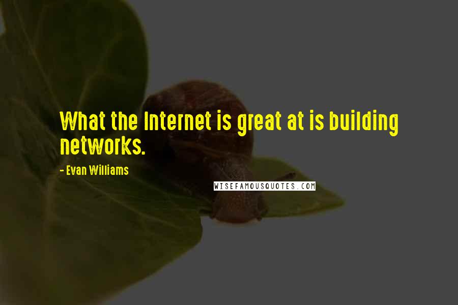 Evan Williams Quotes: What the Internet is great at is building networks.