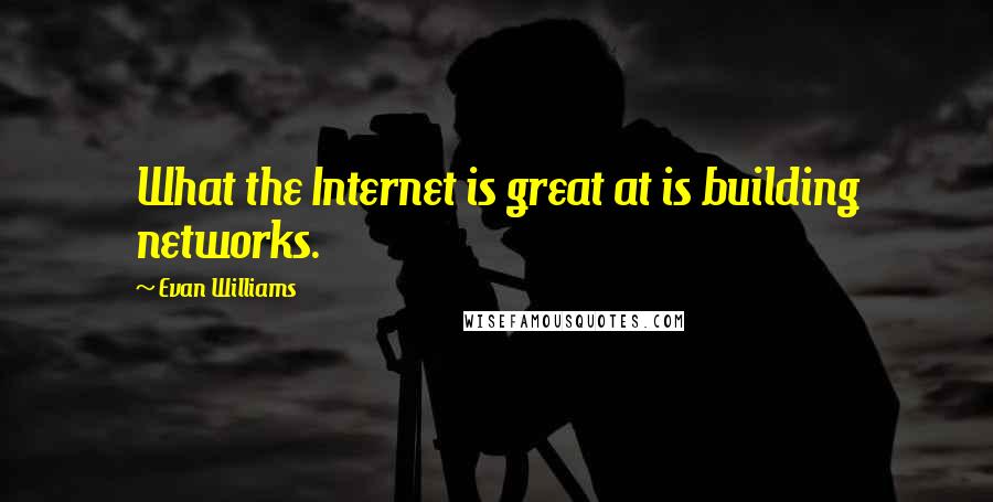 Evan Williams Quotes: What the Internet is great at is building networks.