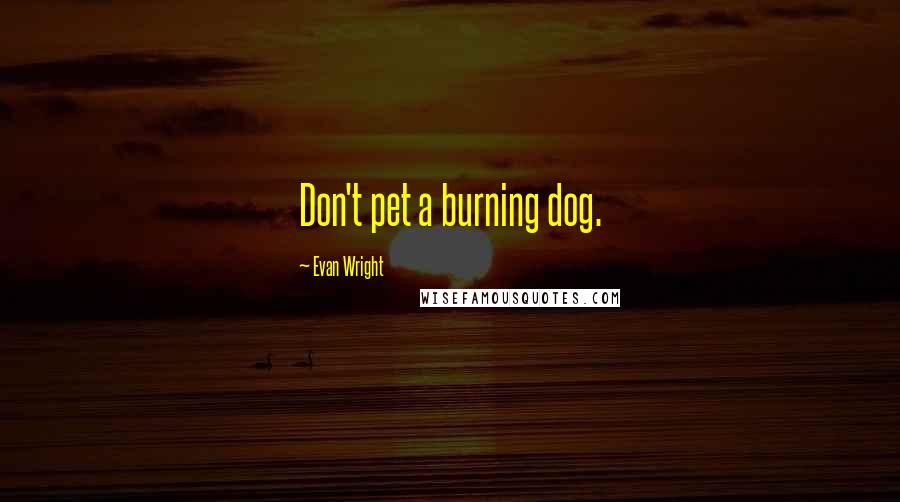 Evan Wright Quotes: Don't pet a burning dog.