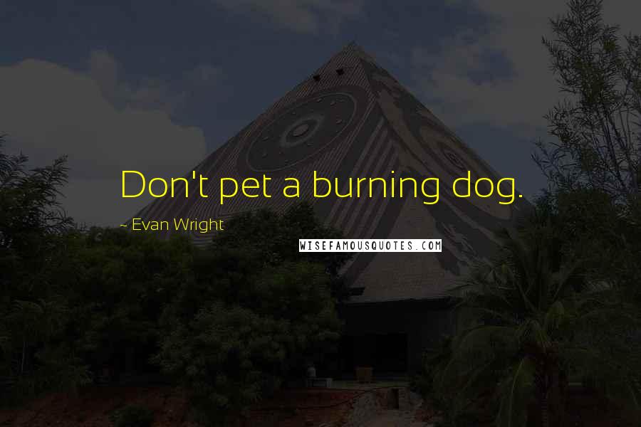Evan Wright Quotes: Don't pet a burning dog.