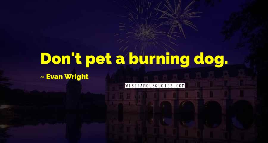 Evan Wright Quotes: Don't pet a burning dog.