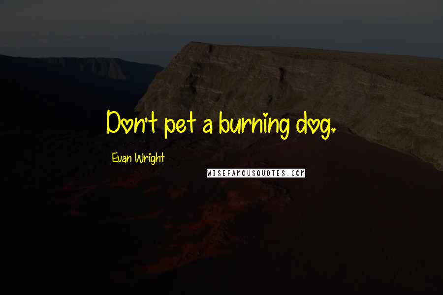 Evan Wright Quotes: Don't pet a burning dog.