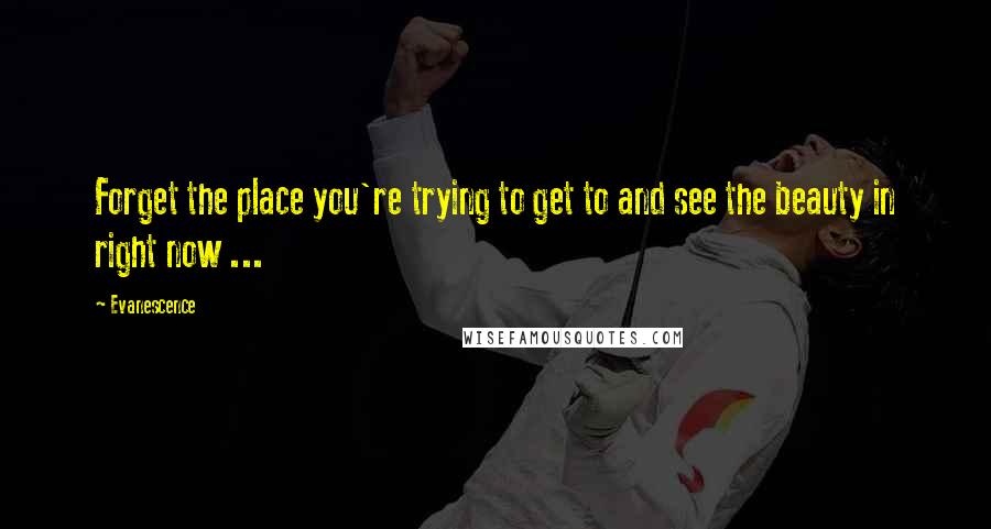 Evanescence Quotes: Forget the place you're trying to get to and see the beauty in right now ...
