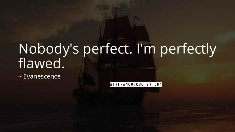 Evanescence Quotes: Nobody's perfect. I'm perfectly flawed.