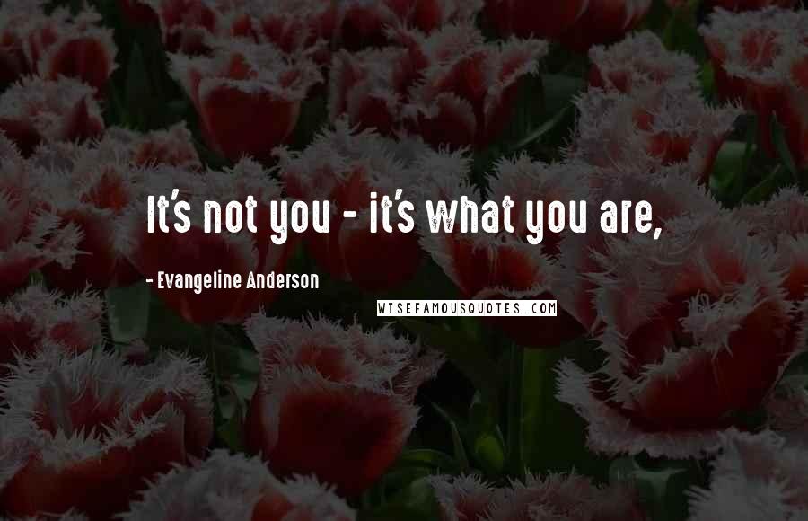 Evangeline Anderson Quotes: It's not you - it's what you are,