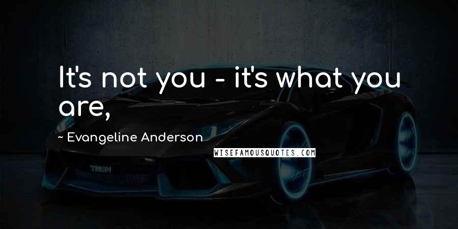 Evangeline Anderson Quotes: It's not you - it's what you are,