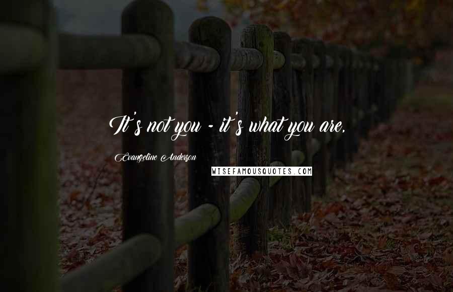 Evangeline Anderson Quotes: It's not you - it's what you are,