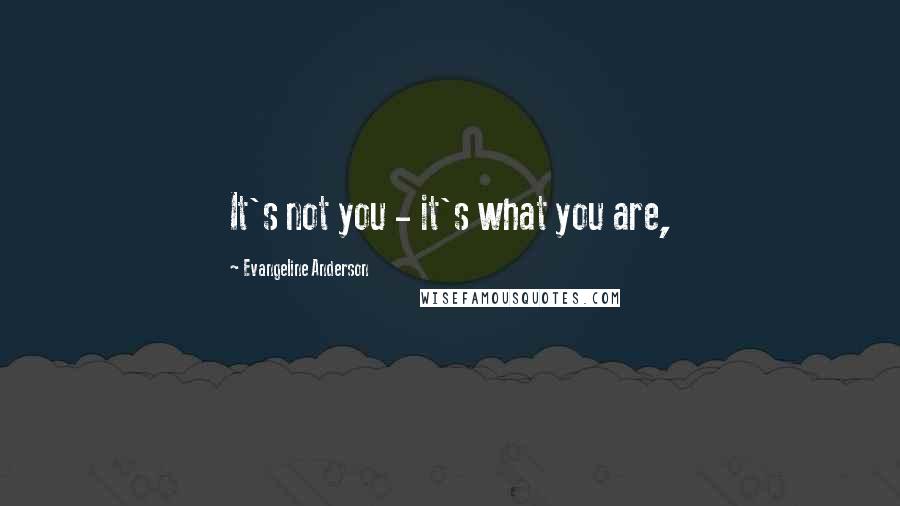 Evangeline Anderson Quotes: It's not you - it's what you are,