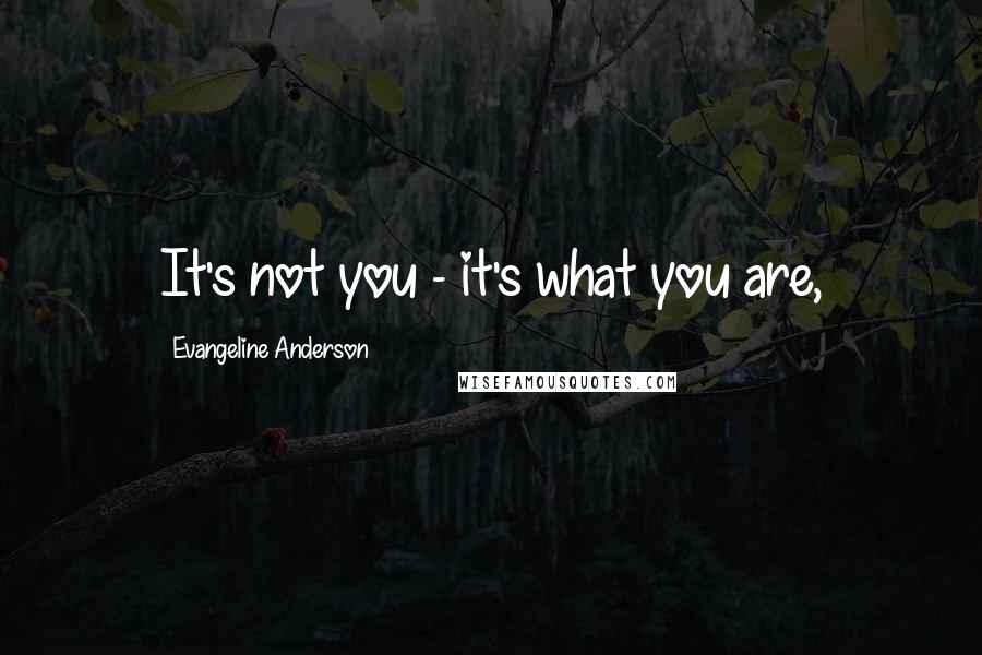 Evangeline Anderson Quotes: It's not you - it's what you are,