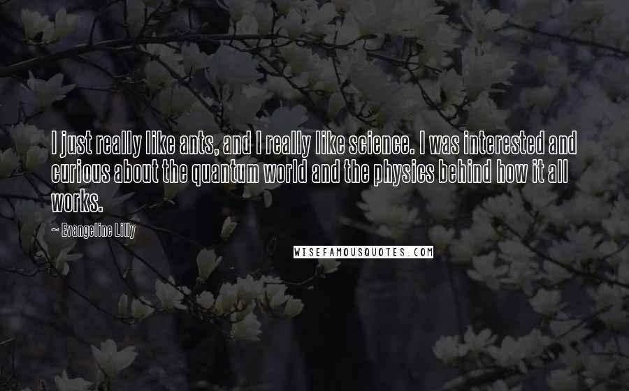 Evangeline Lilly Quotes: I just really like ants, and I really like science. I was interested and curious about the quantum world and the physics behind how it all works.