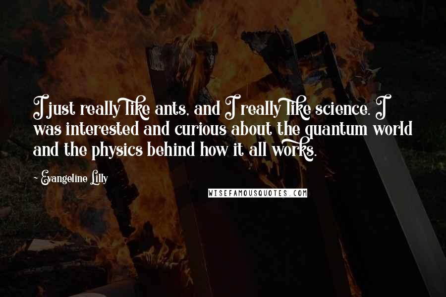 Evangeline Lilly Quotes: I just really like ants, and I really like science. I was interested and curious about the quantum world and the physics behind how it all works.