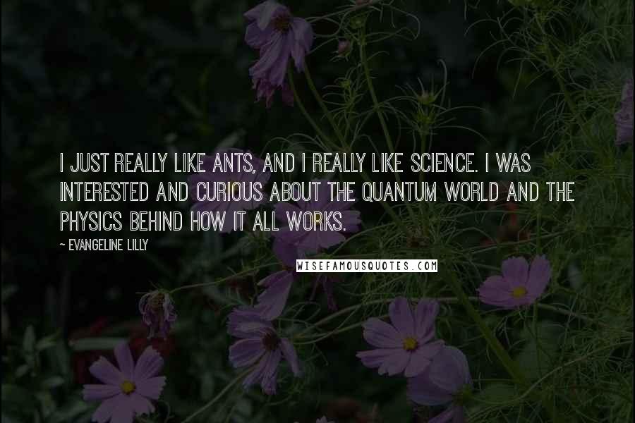 Evangeline Lilly Quotes: I just really like ants, and I really like science. I was interested and curious about the quantum world and the physics behind how it all works.