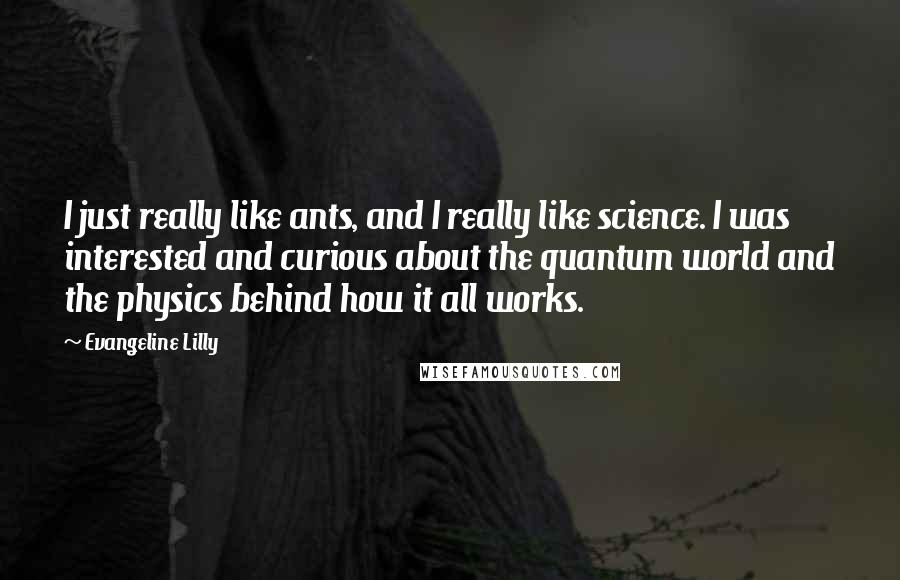 Evangeline Lilly Quotes: I just really like ants, and I really like science. I was interested and curious about the quantum world and the physics behind how it all works.