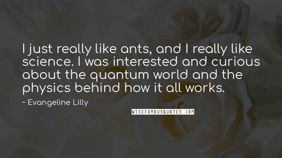 Evangeline Lilly Quotes: I just really like ants, and I really like science. I was interested and curious about the quantum world and the physics behind how it all works.