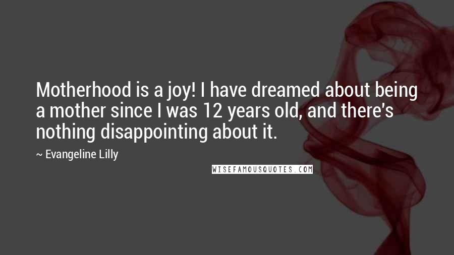 Evangeline Lilly Quotes: Motherhood is a joy! I have dreamed about being a mother since I was 12 years old, and there's nothing disappointing about it.