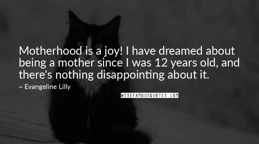 Evangeline Lilly Quotes: Motherhood is a joy! I have dreamed about being a mother since I was 12 years old, and there's nothing disappointing about it.