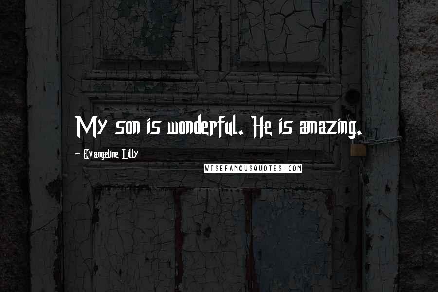 Evangeline Lilly Quotes: My son is wonderful. He is amazing.