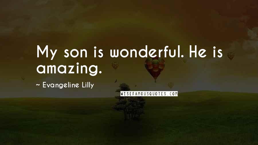 Evangeline Lilly Quotes: My son is wonderful. He is amazing.