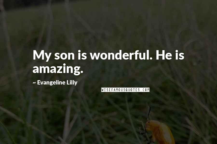 Evangeline Lilly Quotes: My son is wonderful. He is amazing.