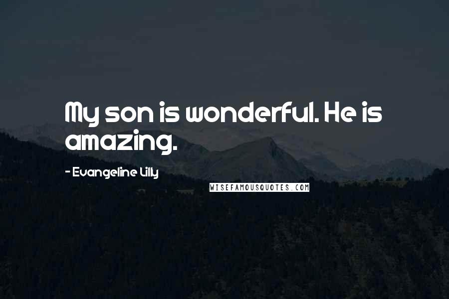 Evangeline Lilly Quotes: My son is wonderful. He is amazing.