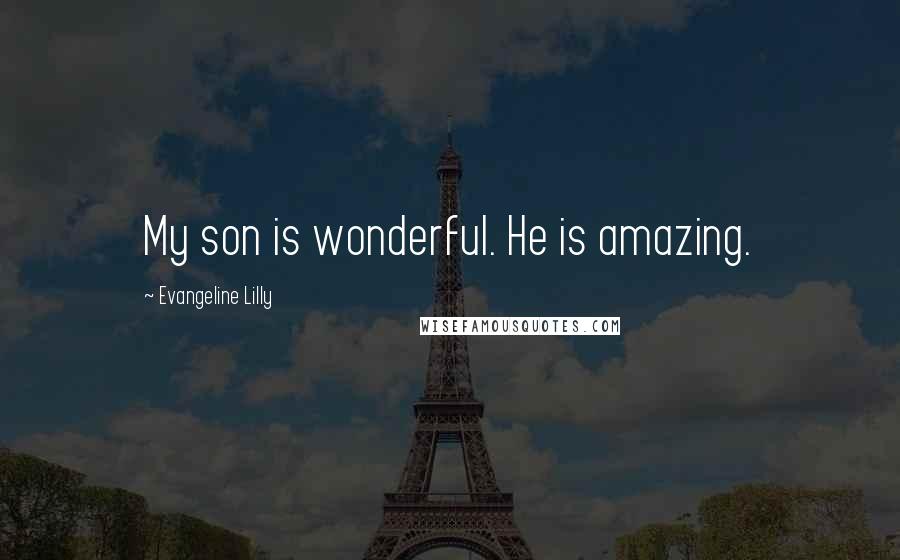 Evangeline Lilly Quotes: My son is wonderful. He is amazing.