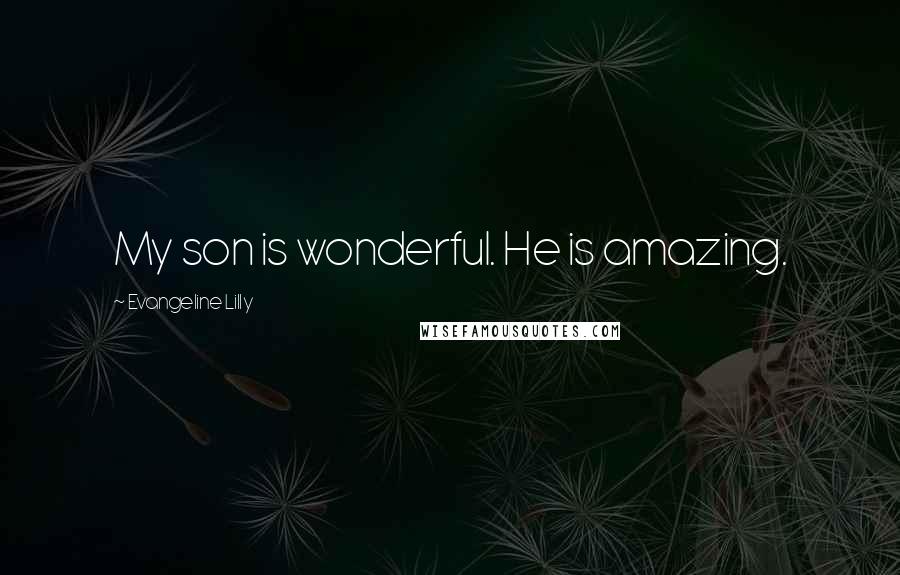 Evangeline Lilly Quotes: My son is wonderful. He is amazing.