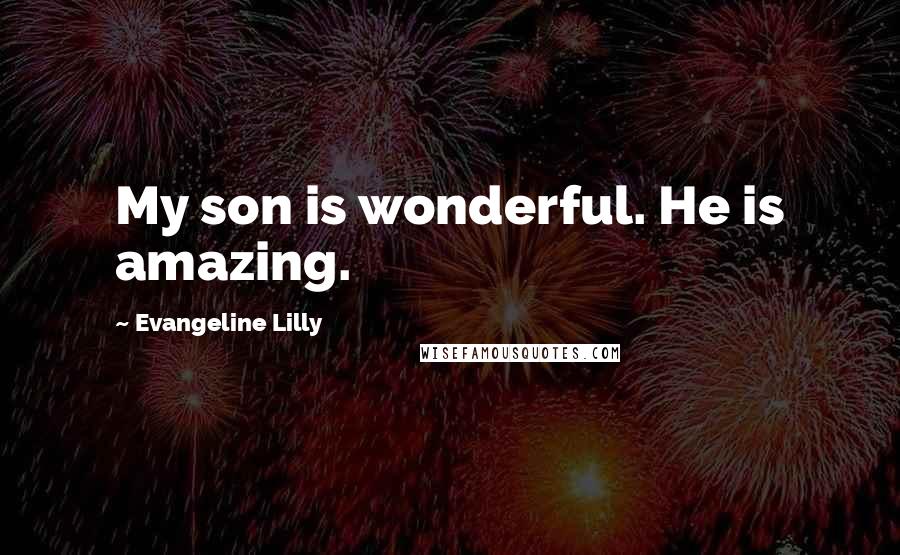 Evangeline Lilly Quotes: My son is wonderful. He is amazing.