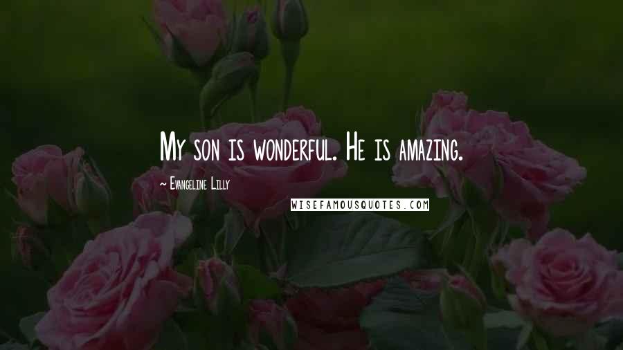 Evangeline Lilly Quotes: My son is wonderful. He is amazing.