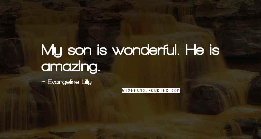 Evangeline Lilly Quotes: My son is wonderful. He is amazing.