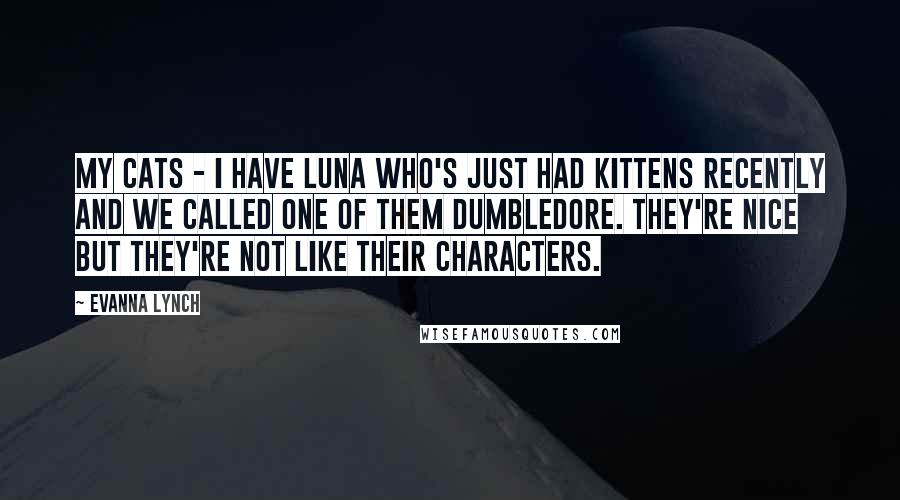 Evanna Lynch Quotes: My cats - I have Luna who's just had kittens recently and we called one of them Dumbledore. They're nice but they're not like their characters.