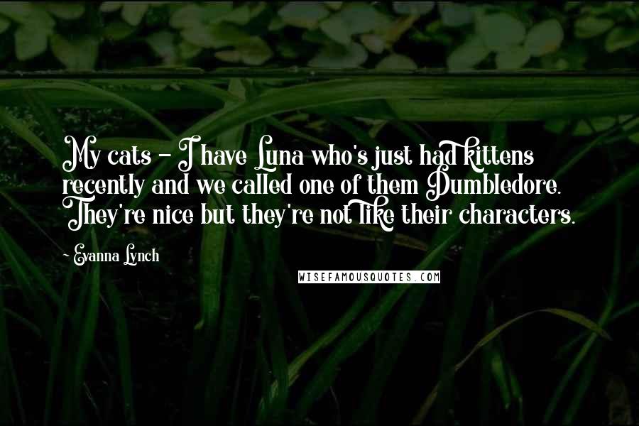 Evanna Lynch Quotes: My cats - I have Luna who's just had kittens recently and we called one of them Dumbledore. They're nice but they're not like their characters.