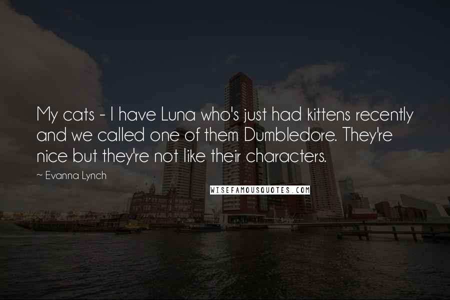 Evanna Lynch Quotes: My cats - I have Luna who's just had kittens recently and we called one of them Dumbledore. They're nice but they're not like their characters.