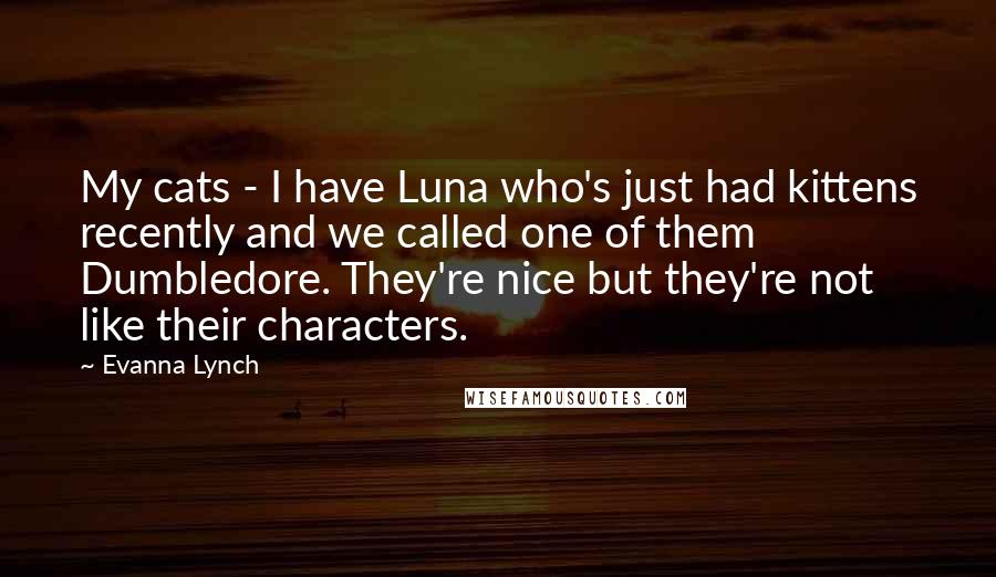 Evanna Lynch Quotes: My cats - I have Luna who's just had kittens recently and we called one of them Dumbledore. They're nice but they're not like their characters.