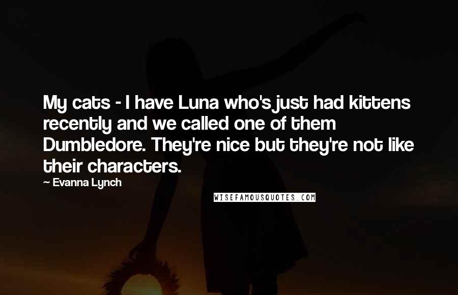 Evanna Lynch Quotes: My cats - I have Luna who's just had kittens recently and we called one of them Dumbledore. They're nice but they're not like their characters.