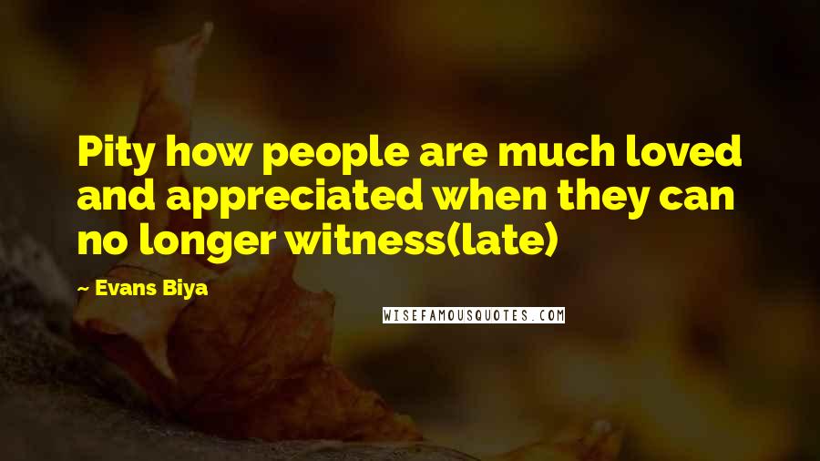 Evans Biya Quotes: Pity how people are much loved and appreciated when they can no longer witness(late)