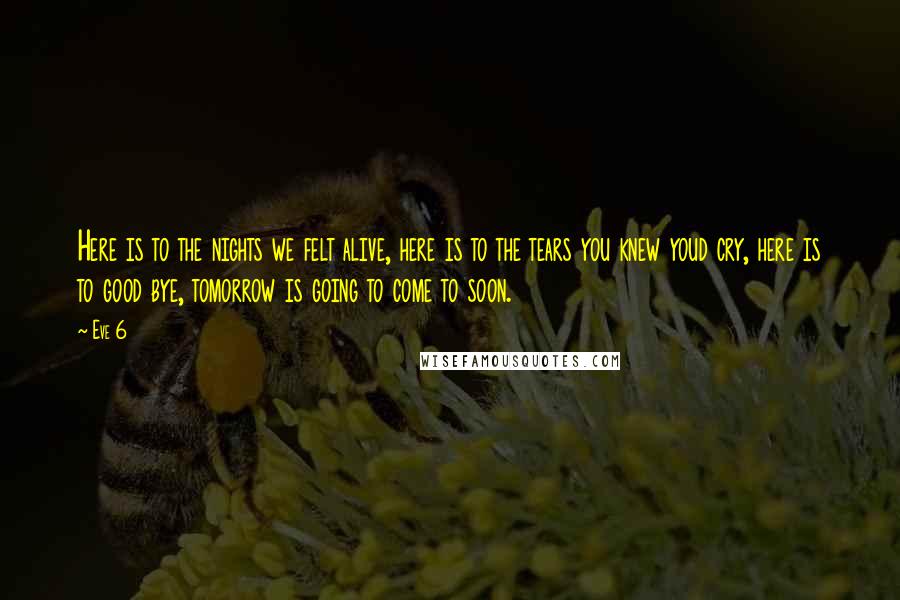 Eve 6 Quotes: Here is to the nights we felt alive, here is to the tears you knew youd cry, here is to good bye, tomorrow is going to come to soon.